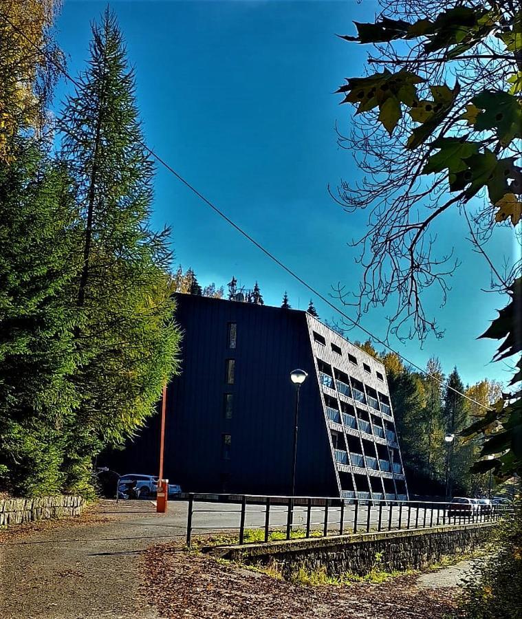 Apartman Na Kraji Lesa Janov nad Nisou Exterior photo
