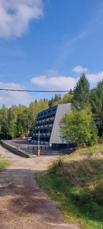 Apartman Na Kraji Lesa Janov nad Nisou Exterior photo